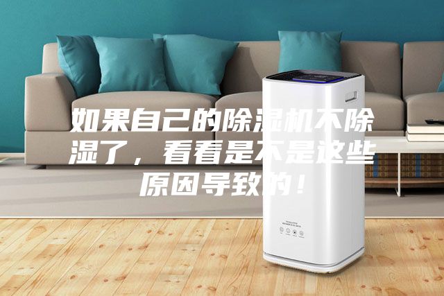 如果自己的除濕機不除濕了，看看是不是這些原因導致的！