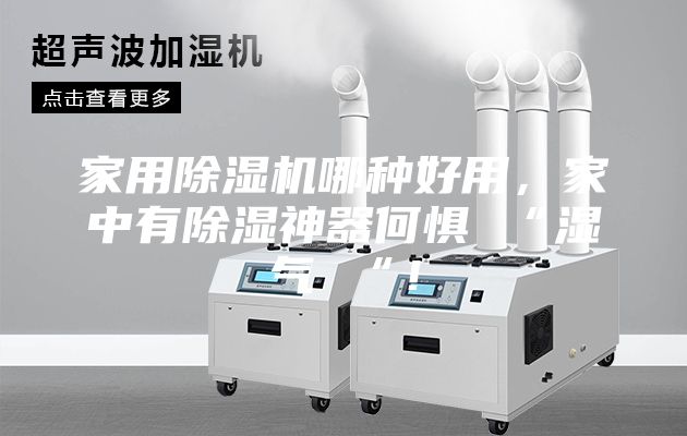 家用除濕機哪種好用，家中有除濕神器何懼 “濕氣 “！