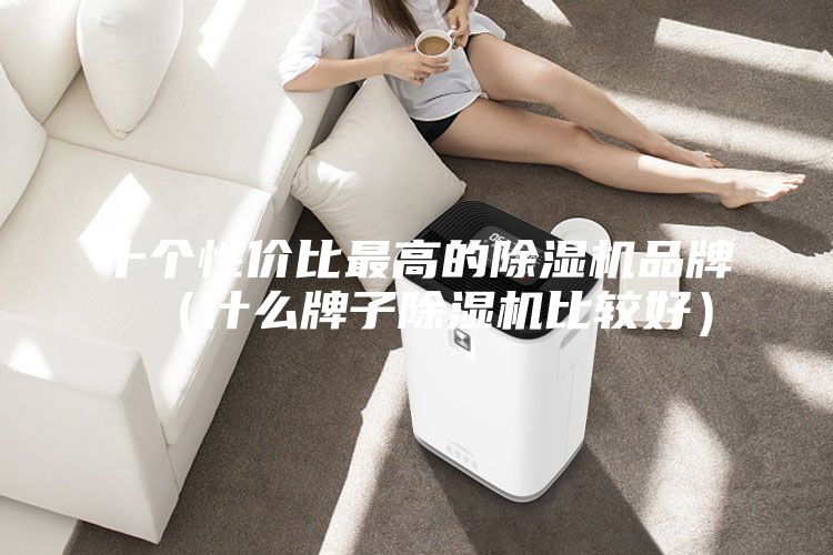 十個(gè)性價(jià)比最高的除濕機(jī)品牌(什么牌子除濕機(jī)比較好)