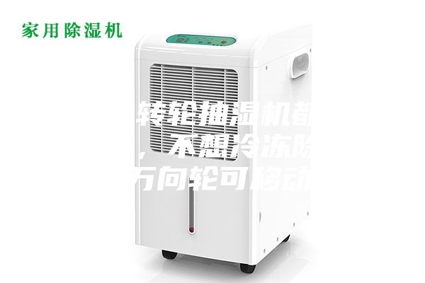 為什么轉(zhuǎn)輪抽濕機(jī)都是固定式的,不想冷凍除濕機(jī)帶有萬向輪可移動呢?