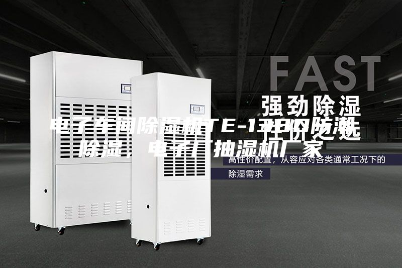 電子車間除濕機(jī)TE-138D防潮除濕,電子廠抽濕機(jī)廠家