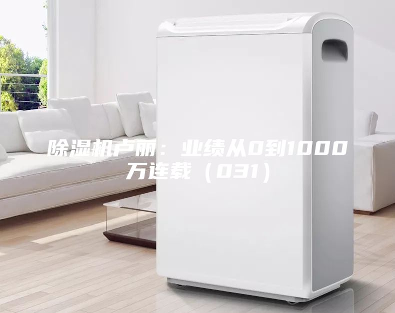 除濕機盧麗:業績從0到1000萬連載(031)