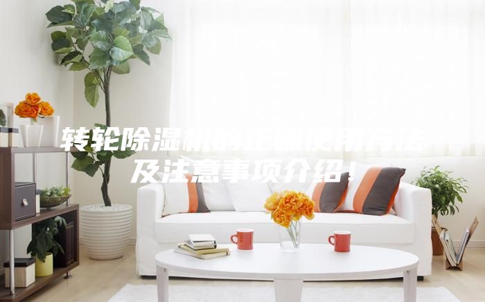 轉(zhuǎn)輪除濕機(jī)的正確使用方法及注意事項介紹！