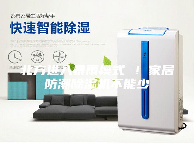 北方進入暴雨模式 !家居防潮除濕機不能少