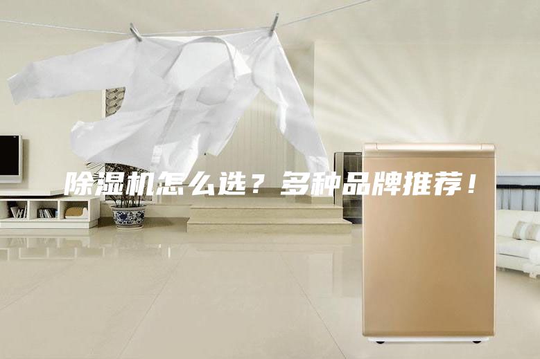除濕機怎么選？多種品牌推薦！