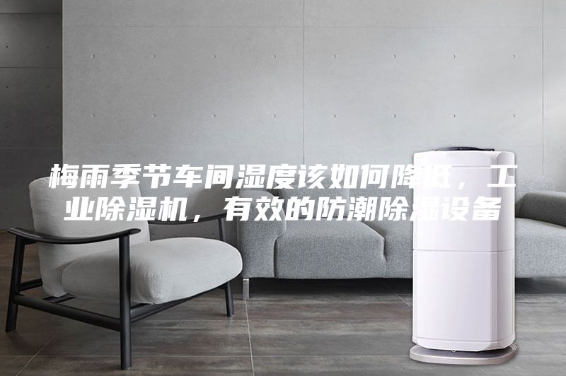 梅雨季節車間濕度該如何降低,工業除濕機,有效的防潮除濕設備