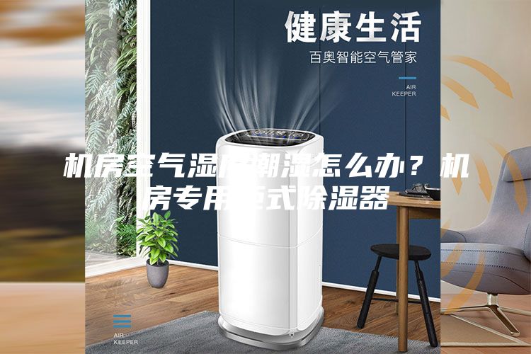 機房空氣濕度潮濕怎么辦?機房專用柜式除濕器