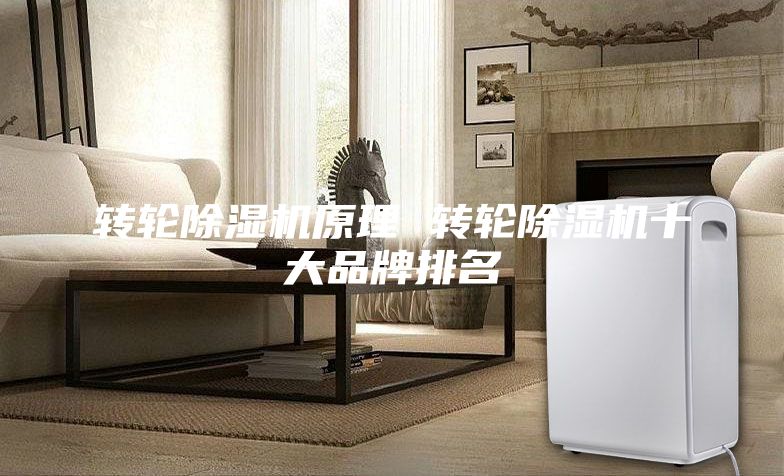 轉(zhuǎn)輪除濕機原理 轉(zhuǎn)輪除濕機十大品牌排名