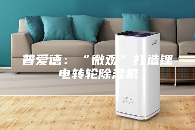 普愛德:“微觀”打造鋰電轉(zhuǎn)輪除濕機(jī)