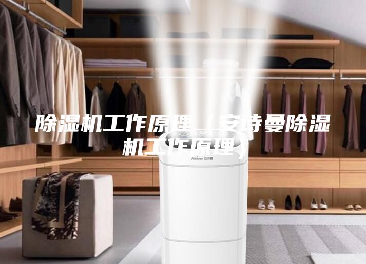 除濕機(jī)工作原理(安詩(shī)曼除濕機(jī)工作原理)