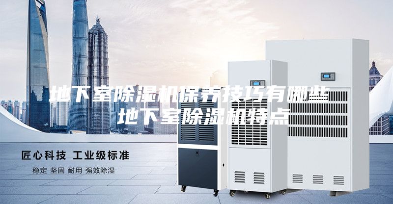 地下室除濕機(jī)保養(yǎng)技巧有哪些  地下室除濕機(jī)特點(diǎn)
