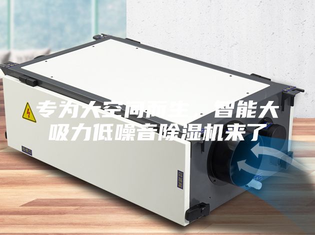 專為大空間而生,智能大吸力低噪音除濕機來了