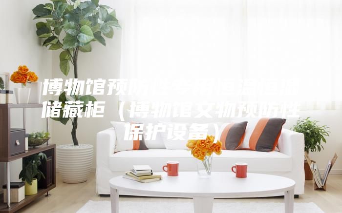 博物館預防性專用恒溫恒濕儲藏柜(博物館文物預防性保護設備)