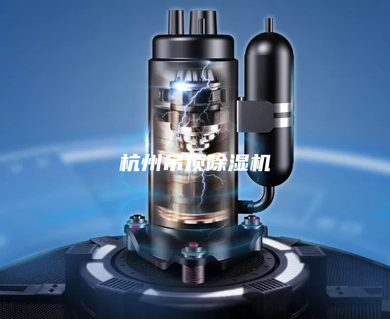 杭州吊頂除濕機