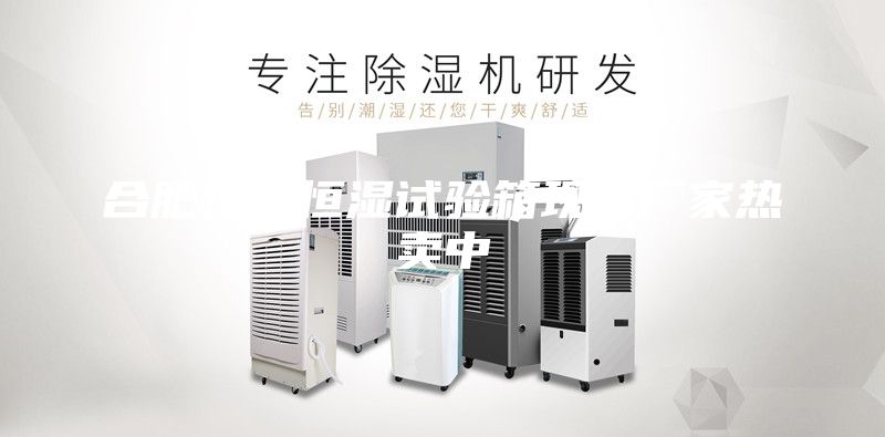 合肥恒溫恒濕試驗箱現貨廠家熱賣中