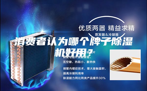 消費者認為哪個牌子除濕機好用?