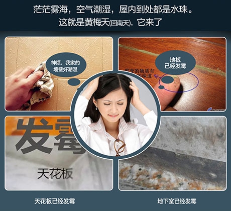 養豬舍濕氣大，使用工業除濕機