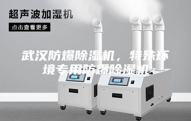 武漢防爆除濕機,特殊環境專用防爆除濕機