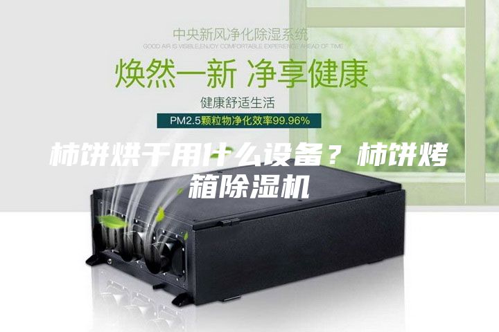 柿餅烘干用什么設(shè)備？柿餅烤箱除濕機