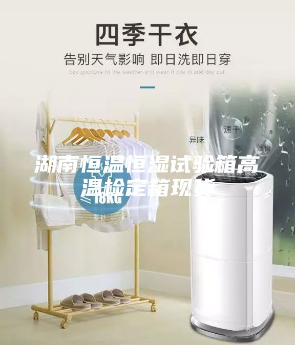 湖南恒溫恒濕試驗箱高溫檢定箱現貨