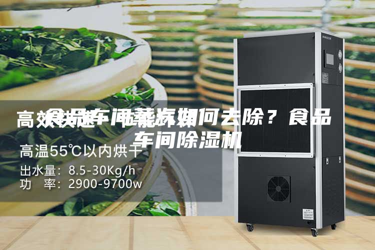 食品車間蒸汽如何去除?食品車間除濕機(jī)