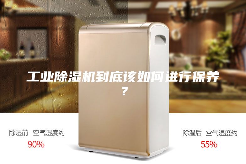 工業(yè)除濕機(jī)到底該如何進(jìn)行保養(yǎng)？