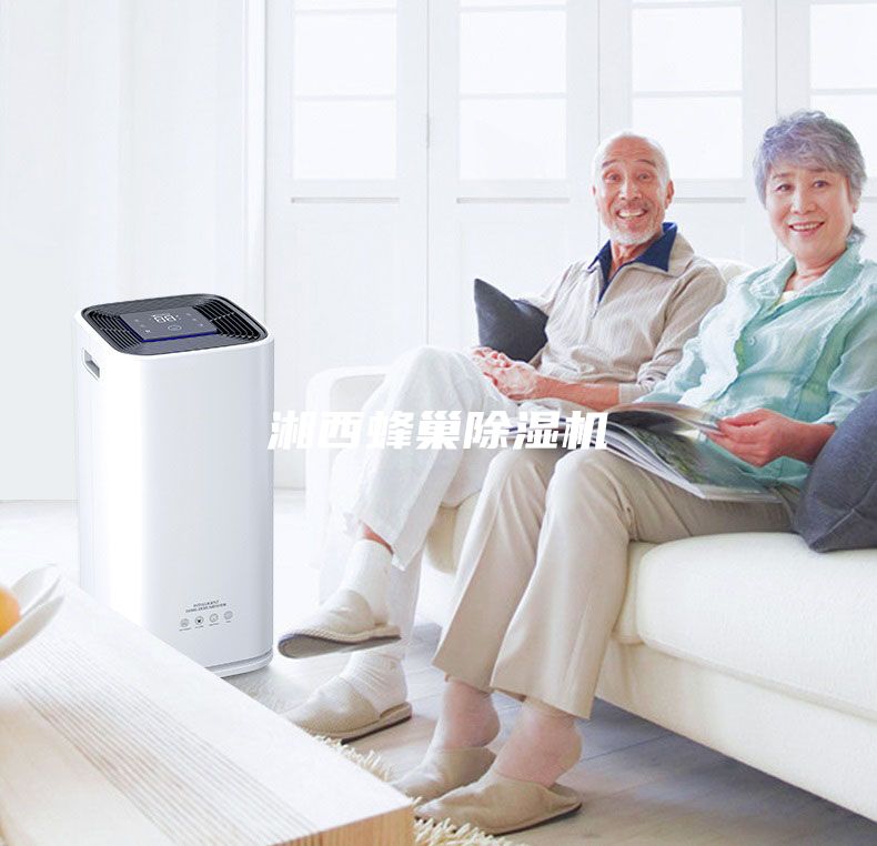 湘西蜂巢除濕機