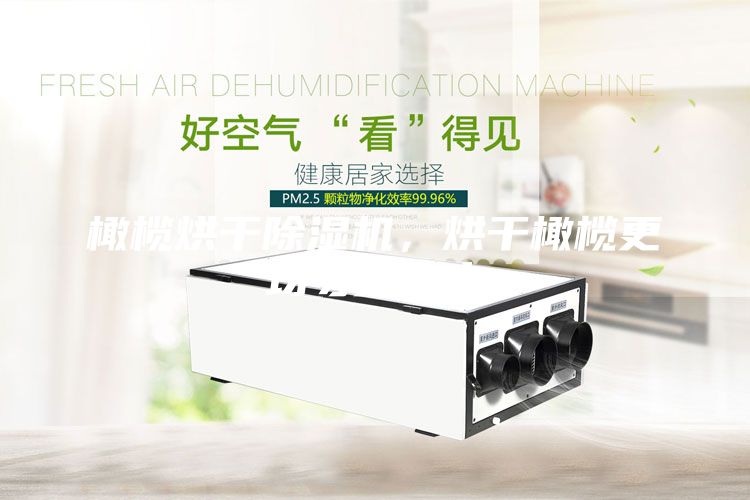 橄欖烘干除濕機(jī)，烘干橄欖更均勻更衛(wèi)生