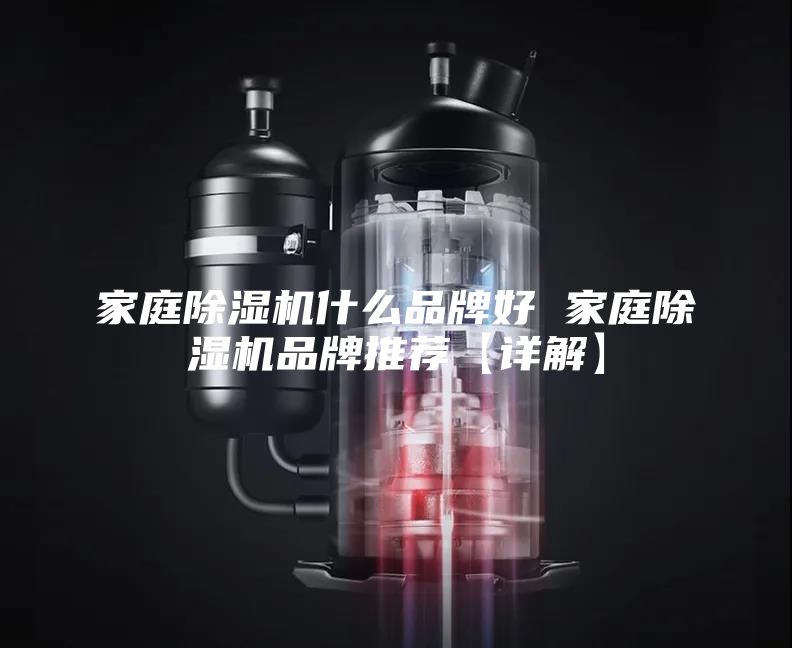 家庭除濕機(jī)什么品牌好 家庭除濕機(jī)品牌推薦【詳解】