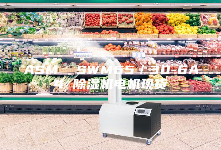 ASM  SWM65／30-6A4 除濕機電機現貨