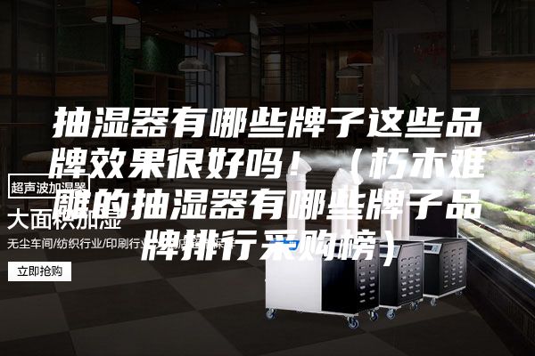 抽濕器有哪些牌子這些品牌效果很好嗎?。ㄐ嗄倦y雕的抽濕器有哪些牌子品牌排行采購榜）