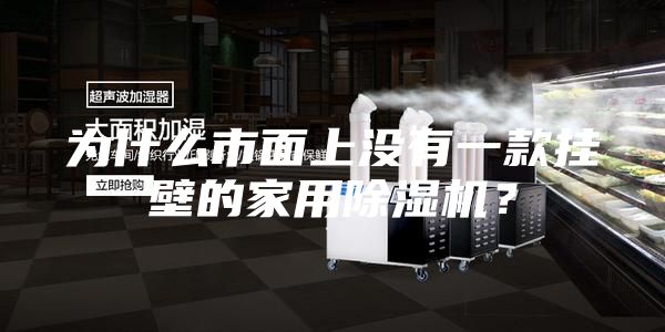 為什么市面上沒有一款掛壁的家用除濕機?