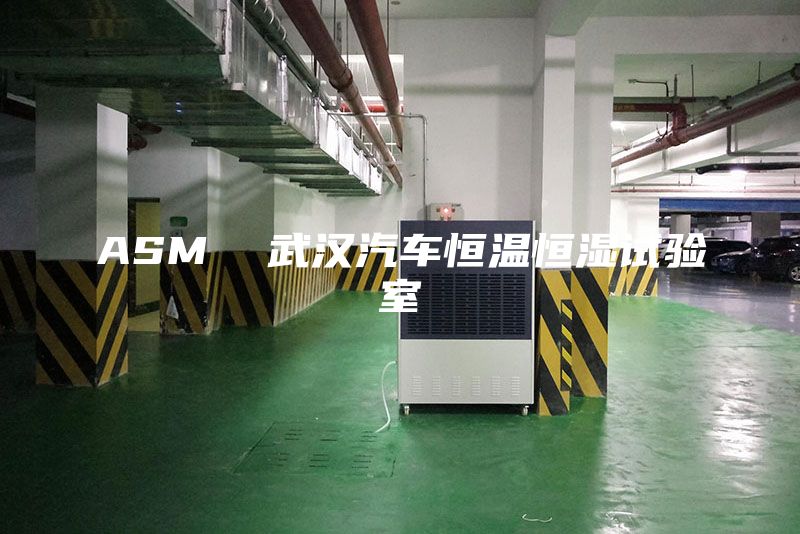 ASM 武漢汽車恒溫恒濕試驗室
