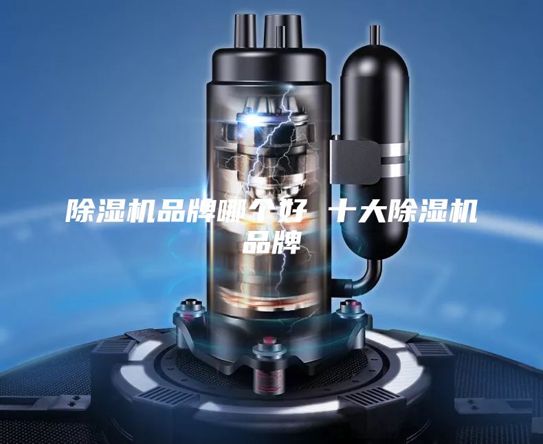 除濕機(jī)品牌哪個(gè)好 十大除濕機(jī)品牌