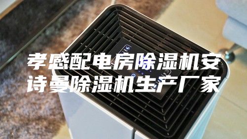孝感配電房除濕機(jī)安詩曼除濕機(jī)生產(chǎn)廠家