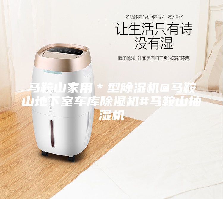 馬鞍山家用*型除濕機(jī)@馬鞍山地下室車(chē)庫(kù)除濕機(jī)#馬鞍山抽濕機(jī)