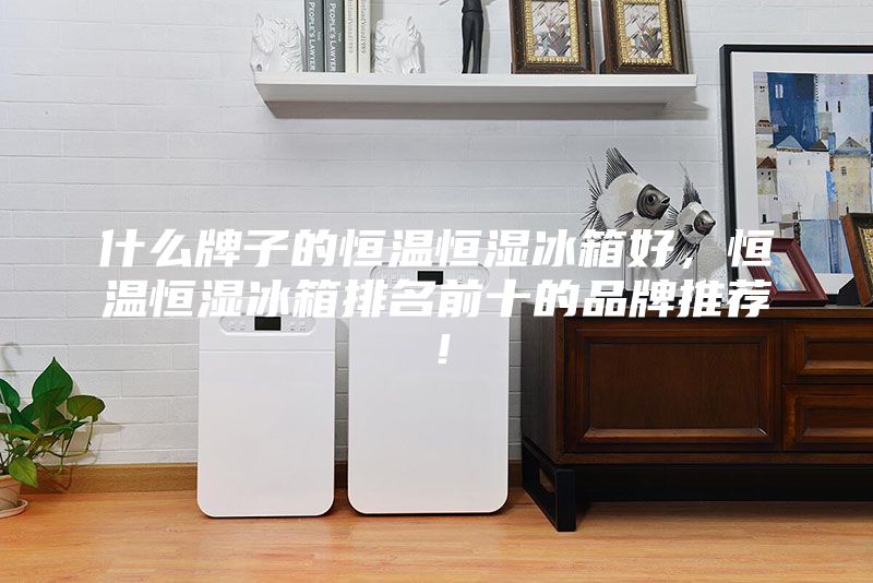 什么牌子的恒溫恒濕冰箱好,恒溫恒濕冰箱排名前十的品牌推薦!