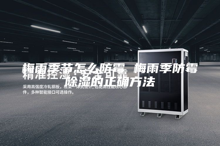 梅雨季節怎么防霉 梅雨季防霉除濕的正確方法