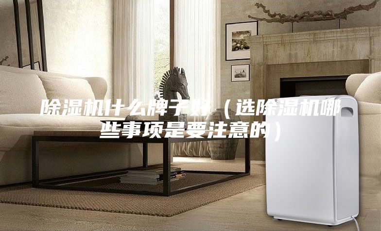 除濕機(jī)什么牌子好(選除濕機(jī)哪些事項(xiàng)是要注意的)