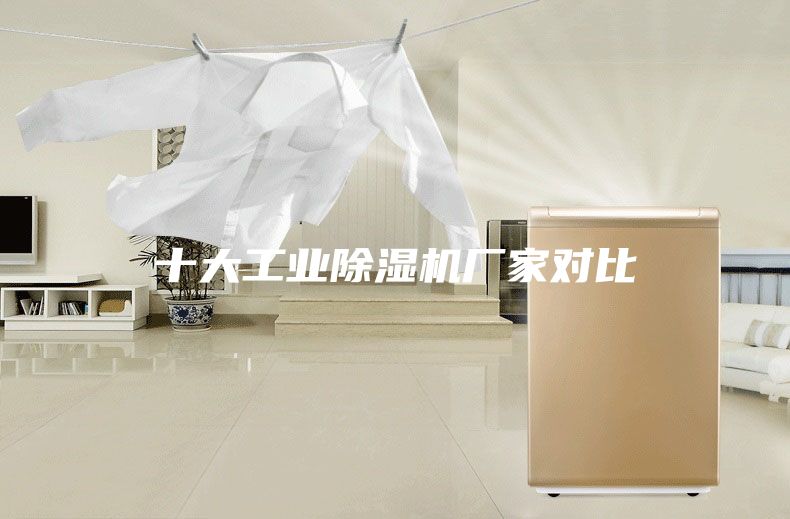 十大工業(yè)除濕機廠家對比