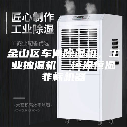 金山區(qū)車間除濕機，工業(yè)抽濕機  恒溫恒濕非標機器