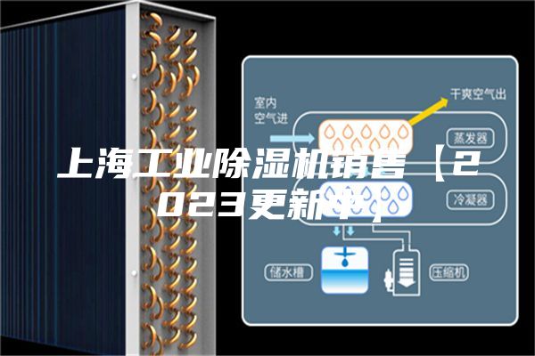 上海工業除濕機銷售【2023更新中】