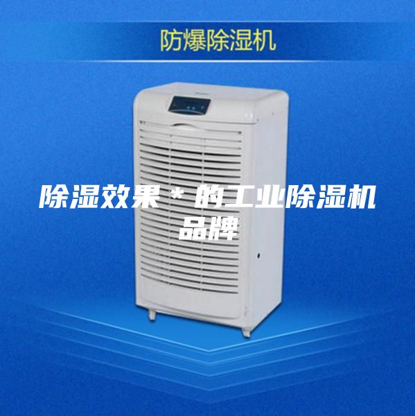 除濕效果*的工業(yè)除濕機(jī)品牌