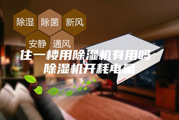 住一樓用除濕機有用嗎 除濕機開耗電量