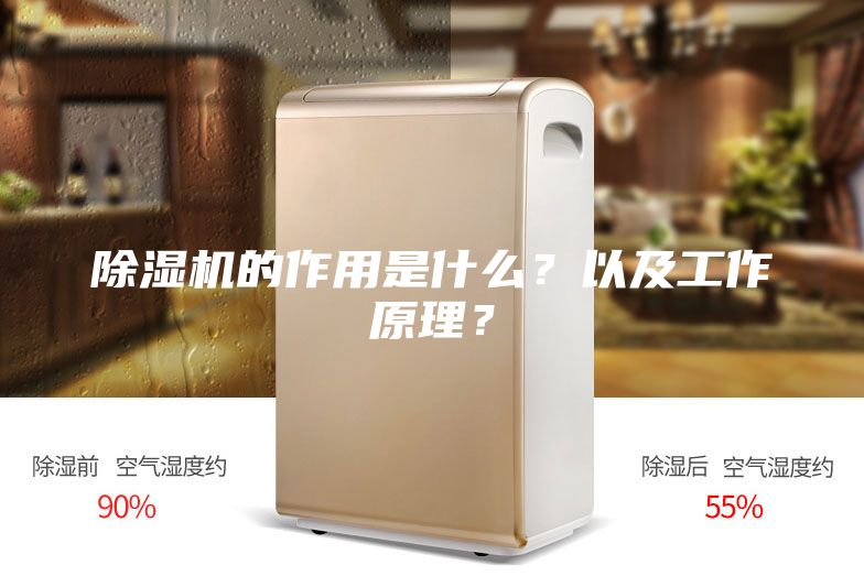 除濕機的作用是什么?以及工作原理?