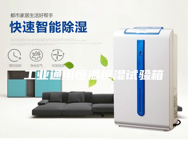 工業(yè)通用恒溫恒濕試驗(yàn)箱