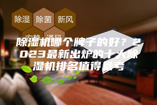 除濕機哪個牌子的好？2023最新出爐的十大除濕機排名值得參考