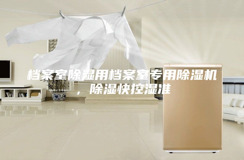 檔案室除濕用檔案室專用除濕機(jī),除濕快控濕準(zhǔn)