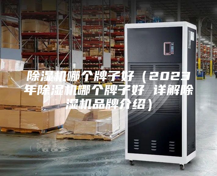 除濕機哪個牌子好(2023年除濕機哪個牌子好 詳解除濕機品牌介紹)