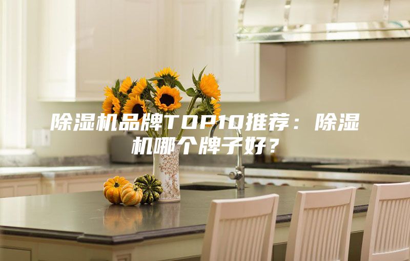 除濕機(jī)品牌TOP10推薦：除濕機(jī)哪個(gè)牌子好？